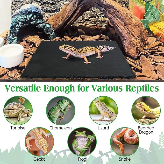 Tfwadmx Reptile Basking Platform Tortoise Feeding Dish Natural Rock Food Bowl Landscape Habitat Decor for Turtle Lizard Bearded Dragon Crested Gecko Snake 2Pcs