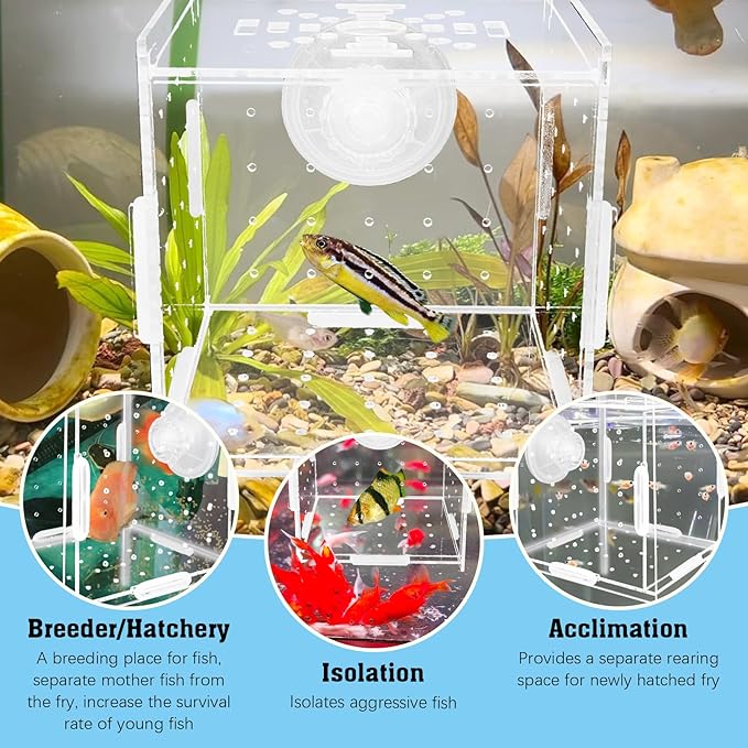 Hamiledyi Acrylic Breeding Isolation Box - Transparent Aquarium Hatchery for Guppy/Shrimp/Small Fish, Safe Nursery Tank with Air Tube & Suction Cups (3.9" × 3.9" × 3.9")