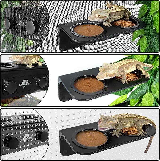 Magnetic Gecko Feeding Ledge, ABS Foldable Reptile Feeder Ledge with 6pcs Plastics Cups, 2 in 1 Reptile Food Water Dish, Terrarium Bowl for Chameleon Iguana, Strong Magnets, Easy to Clean