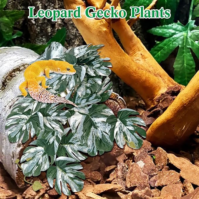 VCEPJH Reptile Plants with Suction Cup Amphibian Habitat Decor 2 Pcs Artificial Leaves for Terrarium Decor Crested Gecko Tank Accessories for Bearded Dragon, Lizard, Snake (White and Green Monstera)