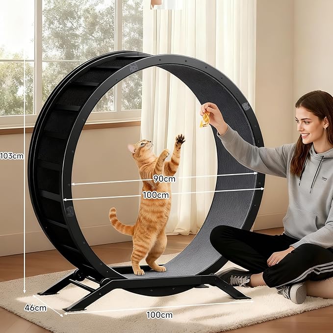 GTPLAYER Cat Wheels, Large Cat Exercise Wheel for Indoor Cats, 40"Diameter cat treadmill Detachable Carpet & Teaser, stickers, Ultra-quiet scroll wheel With latch, Suitable for Most Cats, Metal, Black