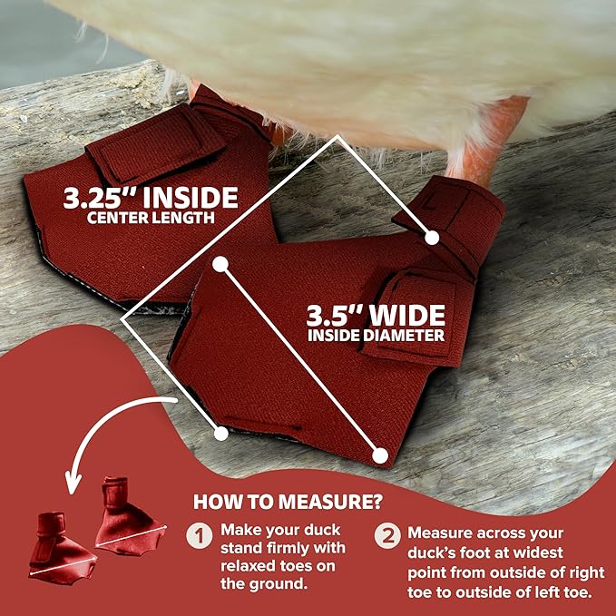 Duck Shoes for Injured Feet – Protective Neoprene Footwear for Ducks, Protective Shoes for Birds with Injured feet, Bumblefoot Relief - Medium, 3.5” Max. Inside Width - Red