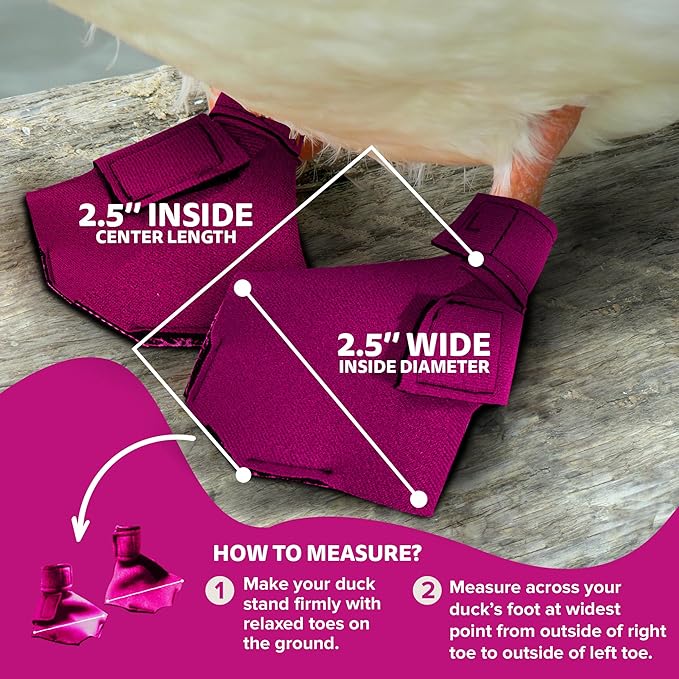 Duck Shoes for Injured Feet – Protective Neoprene Footwear for Ducks, Protective Shoes for Birds with Injured feet, Bumblefoot Relief - Small, 2.5’’ Max. Inside Width - Pink
