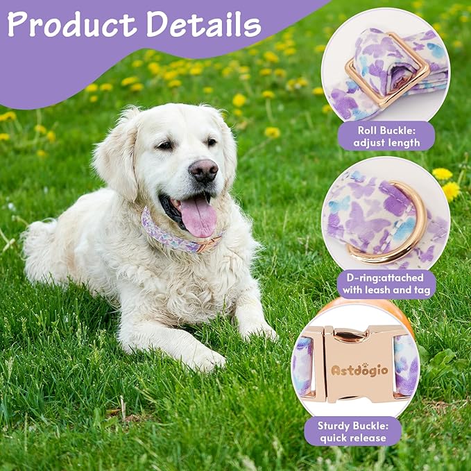 Elegant Butterfly Dog Collar, Gradient Purple Blue Dog Collars for Extra Small Dogs, Adjustable Dog Collar for Extra Small Dogs, Handmade Cotton Puppy Collar for Daily Walks-XS