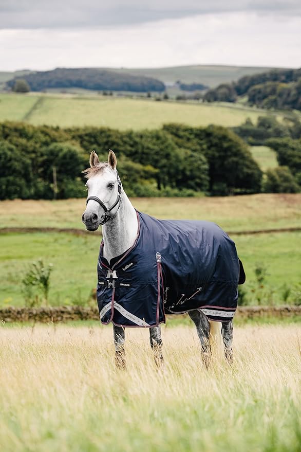 LeMieux Kudos 200g Turnout Blanket - 1680Denier Waterproof Outer - Detachable Neck Inlcluded - Navy - 72"