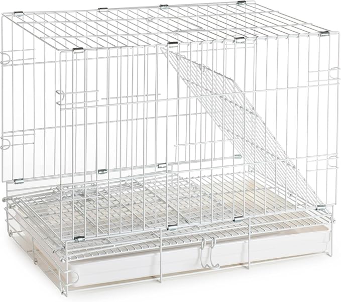 Metal Foldable Bird Parrot Travel Vet Carrier Cage with Wooden Perch and Stainless Steel Dishes Prevent Beaks Out