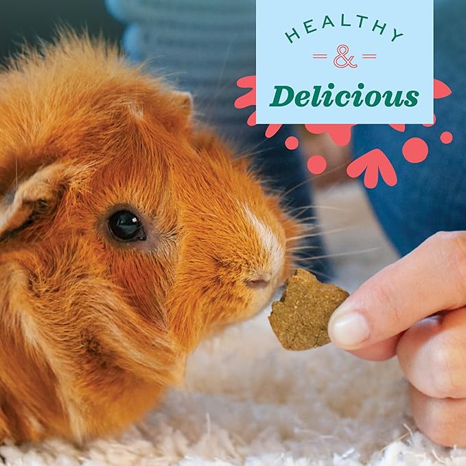 Oxbow Simple Rewards Apple Banana Treats, Timothy Hay Guinea Pig & Bunny Treats, Pet Snack, Made with Oxbow Guinea Pig Hay, Made in USA, Timothy for Rabbit, 3 oz Bag