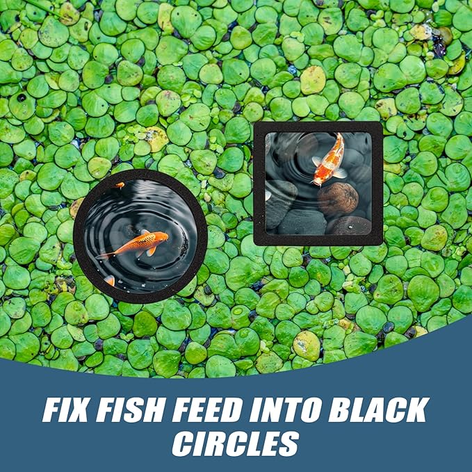 6Pcs Floating Plant Corral (A Tool Spoon is Included As a Gift.) Breathable and Light-Permeable Holes Can be Used in Aquariums 2Pcs Feeding Ring for Fish Tank Round and Square
