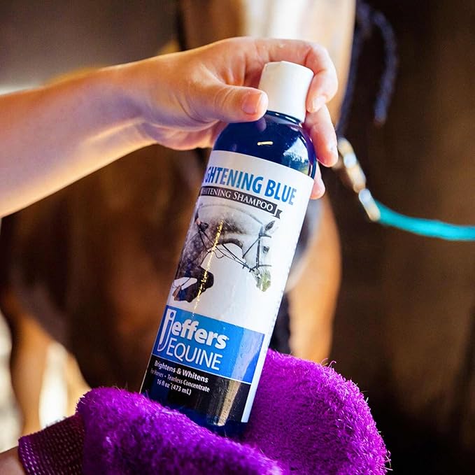 Jeffers Equine Brightening Blue Shampoo for Horses, 1 Gallon – Enhanced Whitening & Stain Remover, Coconut Oil, Aloe, Gentle Grooming, Detergent - Free, Enhances Coat Shine, Mane & Tail Care
