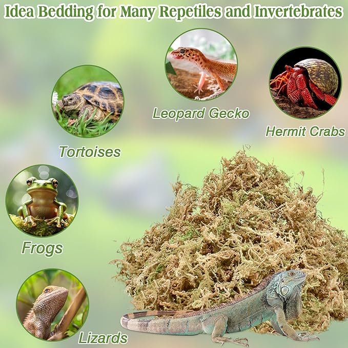 Halatool 1.1LB Sphagnum Moss for Reptiles(Turtles, Geckos, Snakes, Frogs, Hamsters), Natural Forest Long Fibered Dried Moss Bulk for Reptiles Substrate & Bedding - 25QT Reptile Habitat Accessories