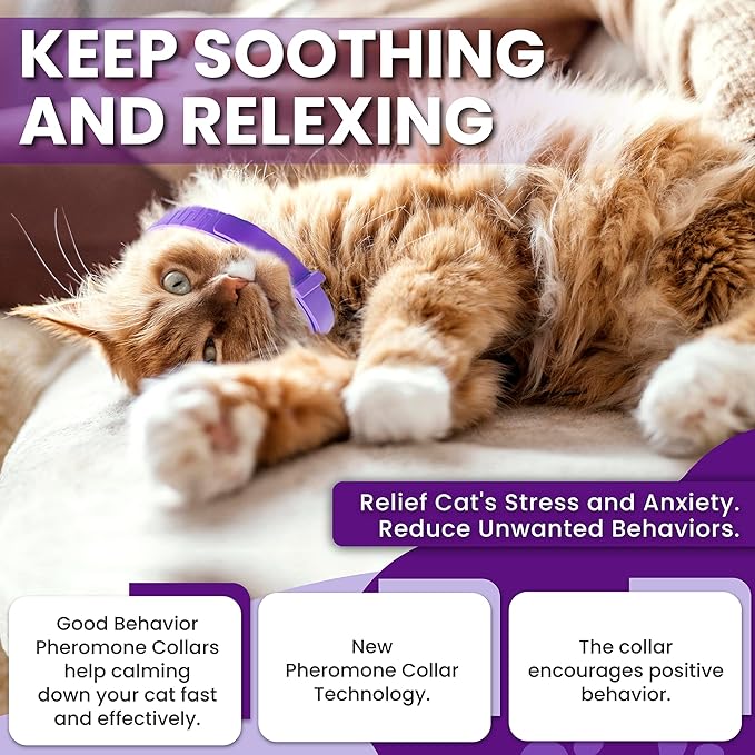 Pheromone Calming Collar for Cats: Breakaway Cat Calming Collar for Anxiety, Separation Stress, Multicat Aggression, Spraying, Meowing - for Indoor Use, Moving & Travel (M Purple)
