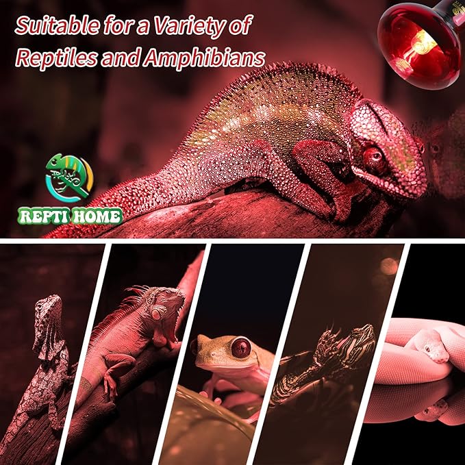 Reptile Heat Lamp Bulbs,Infrared 100W Reptiles & Amphibians Basking Spot Lamp Bulb, 2 Packs Red Heat Emitter Light for Chickens Coop