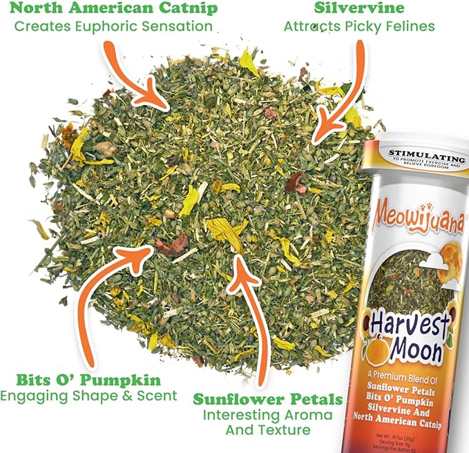 Meowijuana Get Spooked Bundle | Pumpkin Spice Latte Refillable Toy and Harvest Moon Blend | Promotes Play and Cat Health | Includes North American Organic Catnip