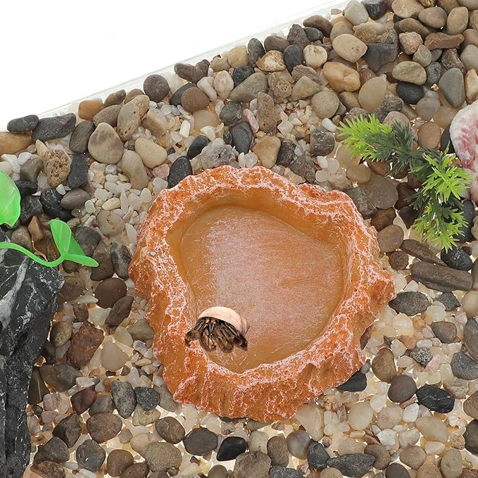 Reptile Food Dish, Resin Lizard Reptile Food Dish, Turtle Water Bowl, Terrarium Feeding Bowl Accessory for Lizard Tortoise Snakes Gecko, Orange, 3.54"x3.54"x0.98"