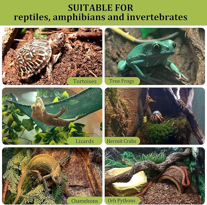 Riare 6LBS Expanded Clay Balls Terrarium Substrate for Reptiles - 100% Organic Lightweight Clay Pebbles Substrate Frogs False Bottom Substrate, Bioactive Terrarium Substrate for Drainage and Moisture
