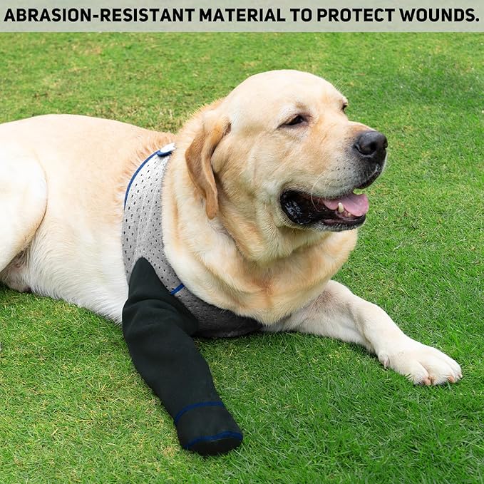 COODEO Dog Socks to Prevent Licking Paws, Healing Boots & Paw Protectors with Non-Slip Bottoms for Wound Protection, Waterproof Sleeve Shoes for Licking（Grey，2XL_Right