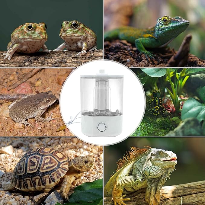 Reptile Fogger, 4L Top Fill Adjustable Mister Tank, Reptile Humidifier for Terrariums and Paludarium, Enhances Humidity Control, White, 1 Set