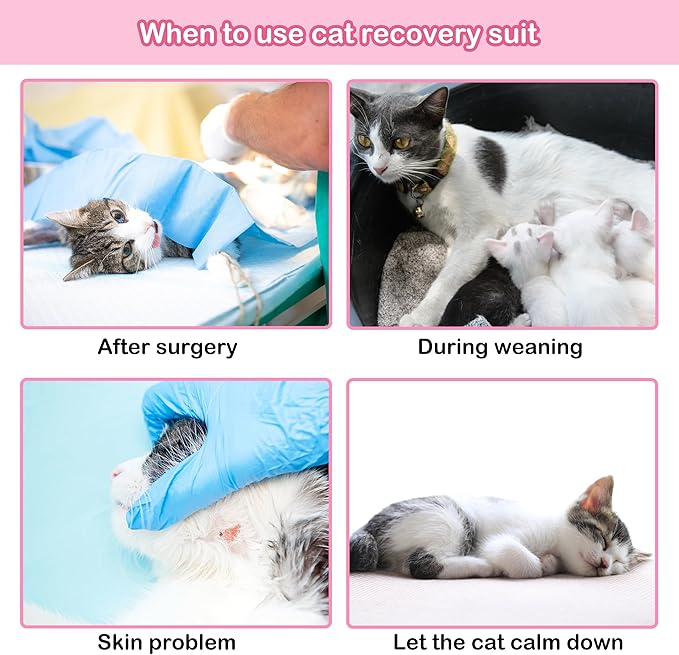 PUMYPOREITY Cat Recovery Suit, Cat Surgery Recovery Suit Female, Cat Spay Recovery Suit, Alternative to Cone of Shame, Cat Surgical Recovery Suit for Skin Diseases and Abdominal Wound, Pink, S