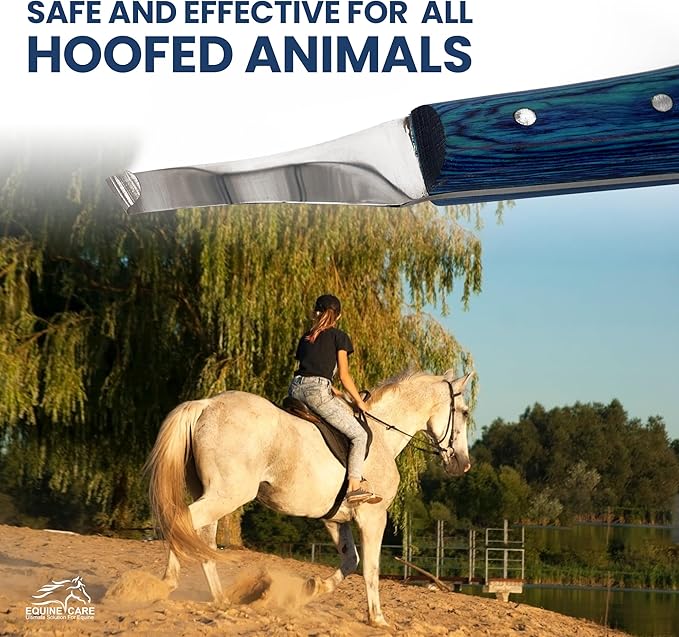 Equine Care Right-Handed Hoof Knife – Professional Farrier Knife & Hoof Trimmer Tool | Ultra-Sharp J2 Stainless Steel Blade, Ergonomic Handle for Horse Hoof Trimming, Cleaning & Farrier Supplies