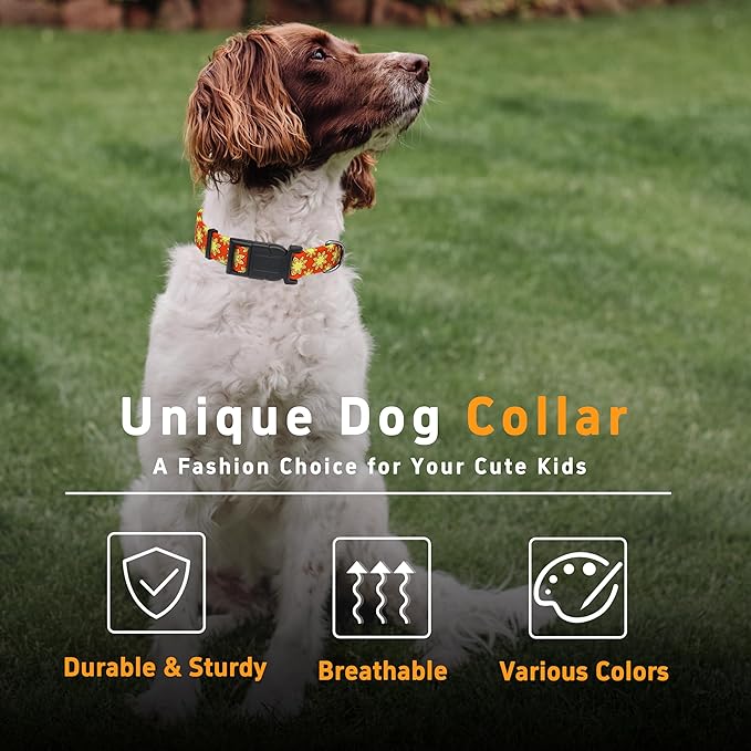 Dog Collar, Classical Indian Spirit Boys Girls Puppy Collar for Small Medium Large Dogs, Adjustable Soft Indian Pet Collar with Safety Buckle for Male Females(Yellow,L)