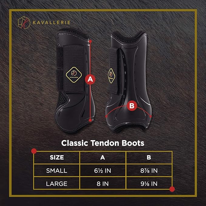 Kavallerie Classic Tendon Boots, Impact-Absorbing Material, Breathable & Evenly Distribute Pressure, Protect Tendon and Ligaments, Anti-Slip, Anti- Sore and Moisture Repellant Show Jumping Boots