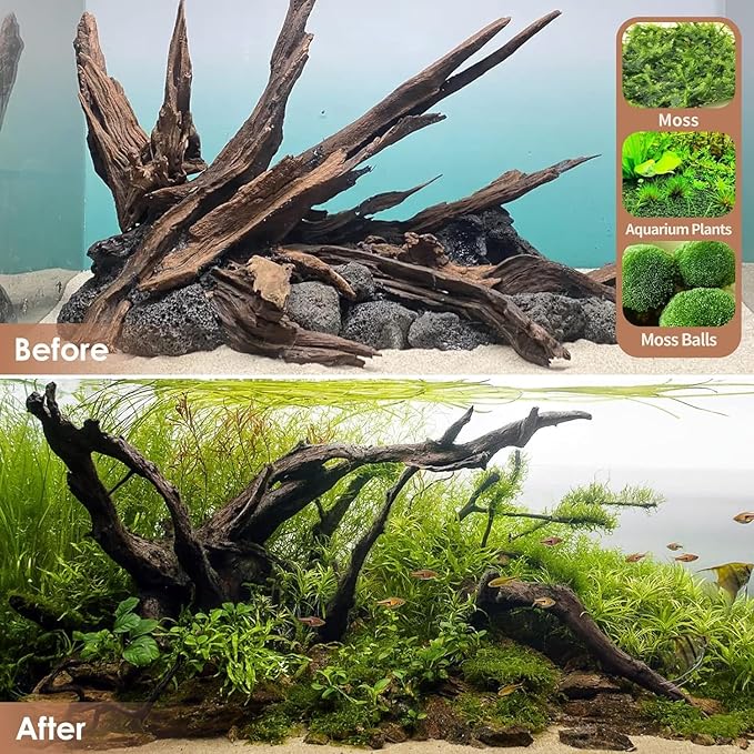 Jorewood Natural Aquarium Driftwood for Fish Tanks & Reptile Terrariums – Safe Fish Tank Decorations, Unique Twisted Branches 3-Piece 7-11 Inch Low Tannin, Easy to Sink