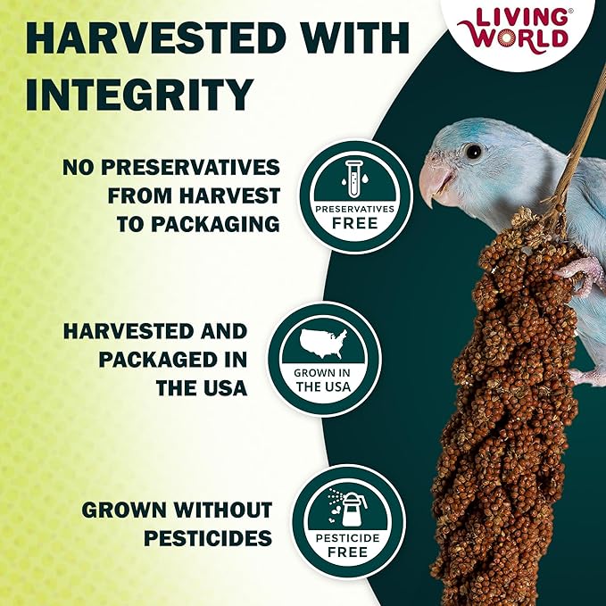 Living World – Millet Spray for Birds,7 Oz – Premium Treat for Budgies,Canaries,Finches,Cockatiels and Other Pet Birds,(Pack of 2)