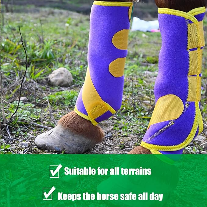 Equine Sport Horse Boots Set of 4 – Neoprene Leg Protection with Durable Hook & Loop Straps, Breathable & Comfortable Fit for Training, Riding, and Performance（Purple, Medium）