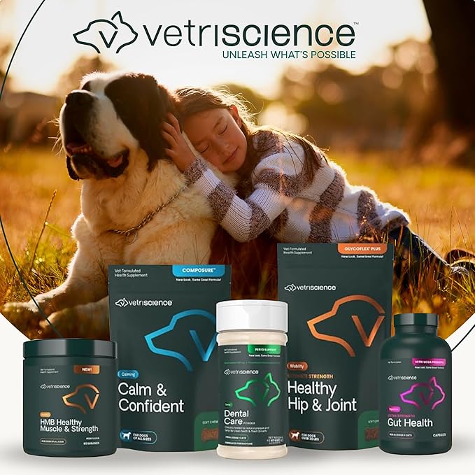 VetriScience Ultimate Strength Healthy Chews– Dog Glycoflex Plus Hip and Joint Supplement Glucosamine, MSM for Dogs & Green Lipped Mussel for Dogs, Duck, 60Count - New Look
