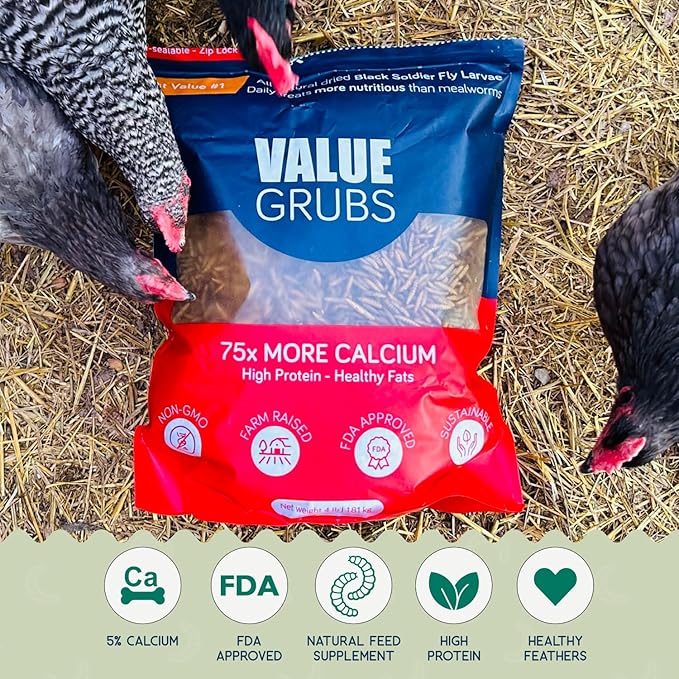 4 lb Black Soldier Fly Larvae for Chickens - High Protein Chicken Feed with 75x More Calcium Than Mealworms - Healthy Poultry Treats for Ducks, Birds - Resealable Bag for Freshness