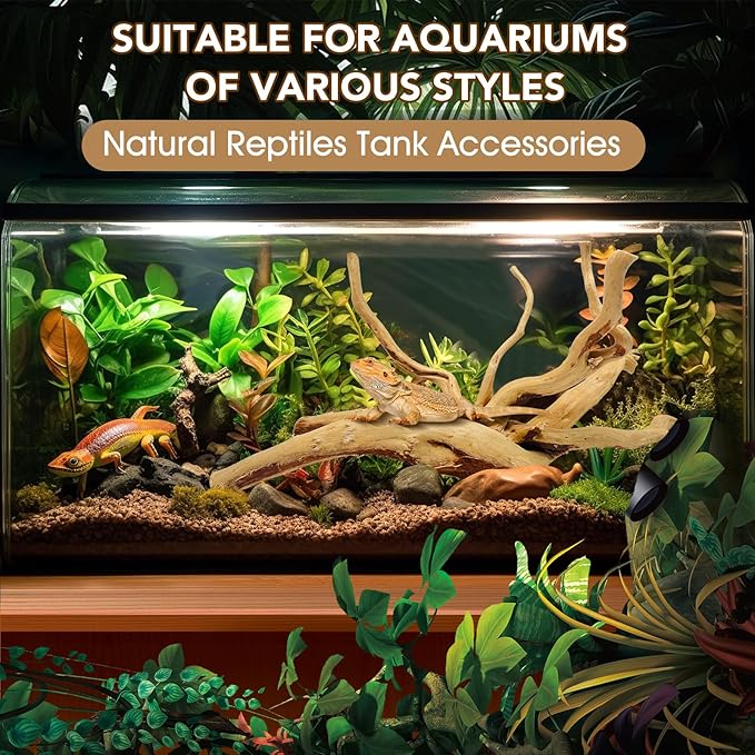 Jorewood Natural Small Spiderwood Driftwood for Aquarium Decor Rptile Fish Tank Decoration Assort Branch 4-7'' 8 Pcs