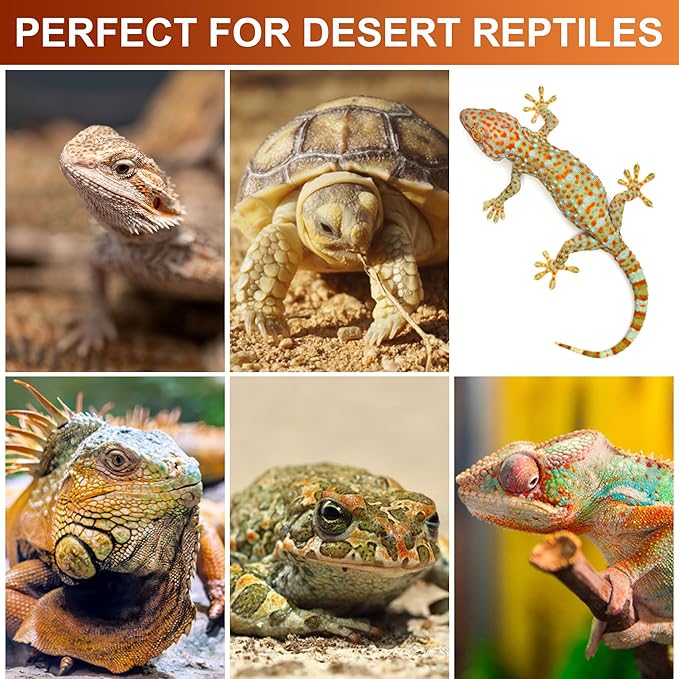 UVB Reptile Light Kit, 24W T5 Lamp Fixture and 10.0 UVB Tube Combo, Linear Lighting Bar for Desert Dwelling Reptiles, Bearded Dragon, Chameleon, Gecko, Lizards, Tortoises, Turtles, Snake