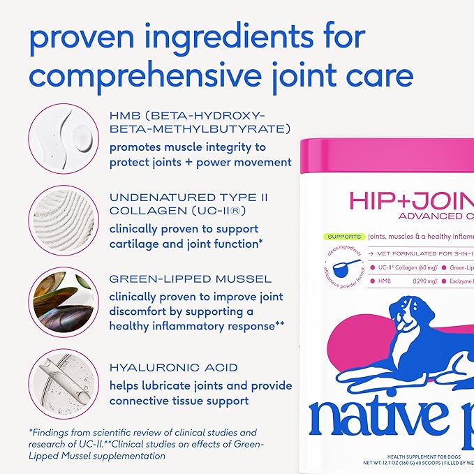 Native Pet Advanced Care - Hip & Joint Supplement for Dogs - Supports Joints, Cartilage, Muscles & Anti-Inflammatory with HMB, UC-II Collagen, Green Lipped Mussel & Hyaluronic Acid - 30 Scoops