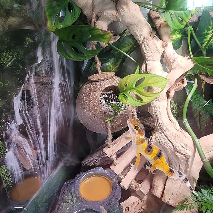 Lizard Coco Den with Ladder,Leopard Gecko Coconut Husk Hut Hideout Home Reptile Hammock Climbing Hanging Plants Decor Habitat Tank Accessories for Bearded Dragon Snake Chameleon