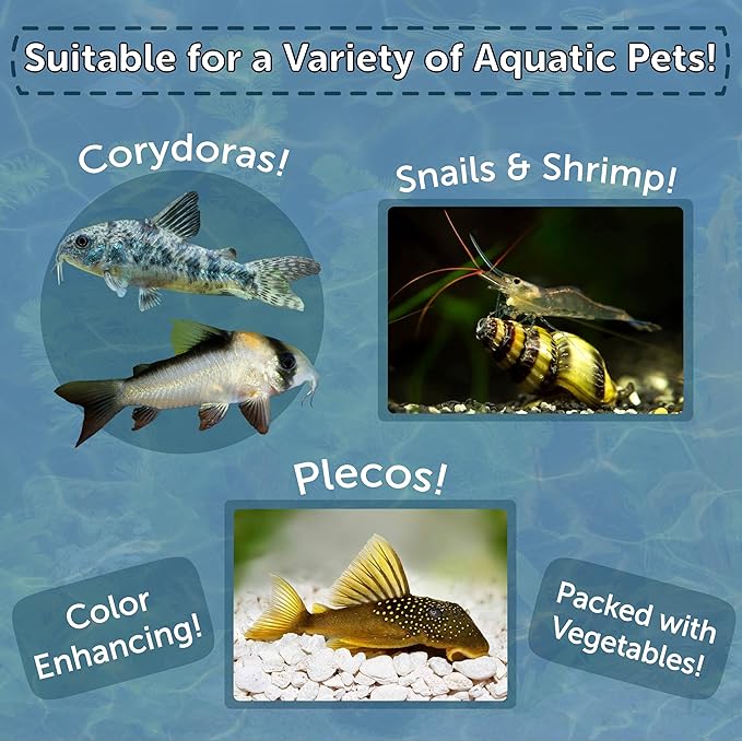 Aquatic Foods Inc. 3.5mm - 1/8" Sinking Wafers of Spirulina, Algae & Color Enhancing Wafers for Bottom Fish, Shrimp, Snails, Tropicals. 4-Type Wafer & 12-Type Pellets Included...1-lb 6oz Canister
