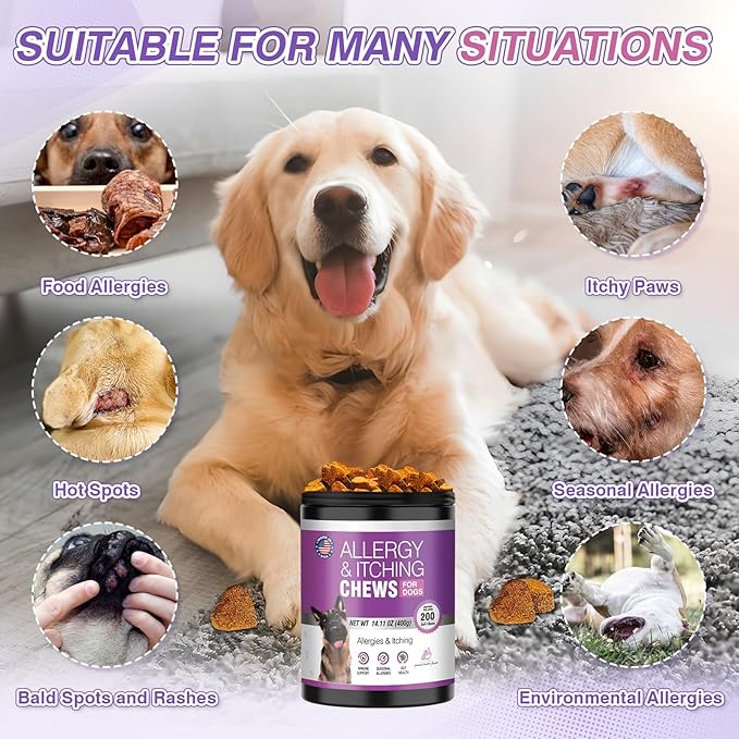 Dog Allergy Chews 200ct - Dog Allergy and Itching Skin Relief Anti Itch Aller Immune Bites for Dogs Licking Paws Treatment Relief Itchy Chew Probiotics Vitamins for Skin and Coat - Peanut Butter