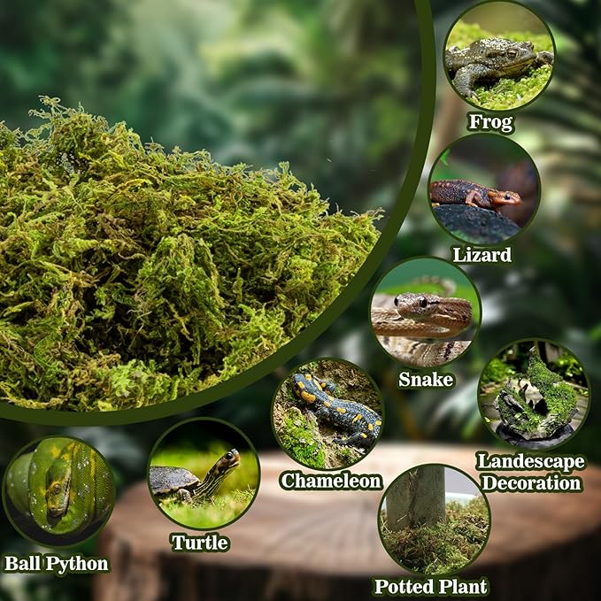 Sphagnum Moss for Reptiles - 7 Oz Reptile Moss Peat Terrarium Moss Bedding Reptiles Lizard Substrate for Reptile Tank, Snake, Leopard Gecko, Ball Python, Crested Gecko, Turtle, Frog, Hamster