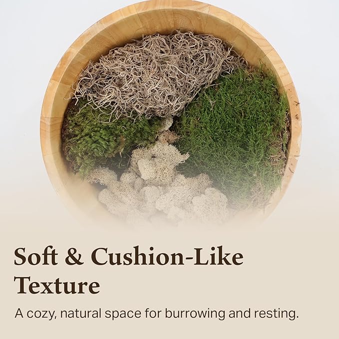 The Habitat Life - Natural Variety Pack - Mix of Reindeer, Mood, Sheet & Spanish Moss - for All Terrariums - Humidity Control - Breathable Bedding - Dye-Free & Safe - Medium - 2 Pack