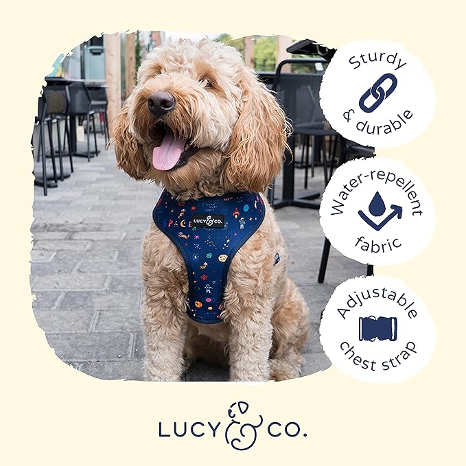 Lucy & Co. Space Doodle, Cute Reversible Dog Harness Walking Halter - Best Designer Pet Harnesses for Medium Dogs - Padded Adjustable Vest for Easy Walking (Large)