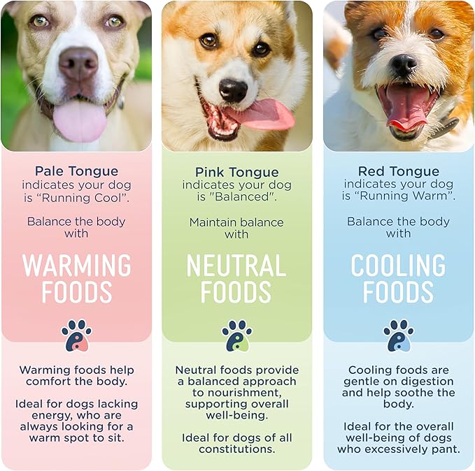 Side by Side Salmon Munchies - Neutral Freeze-Dried Training Treats - Ideal Dog Training Treats, Snack or Reward - Single Whole Raw Ingredient, Free of Artificial Additives - USA Made (4oz, Pack of 2)
