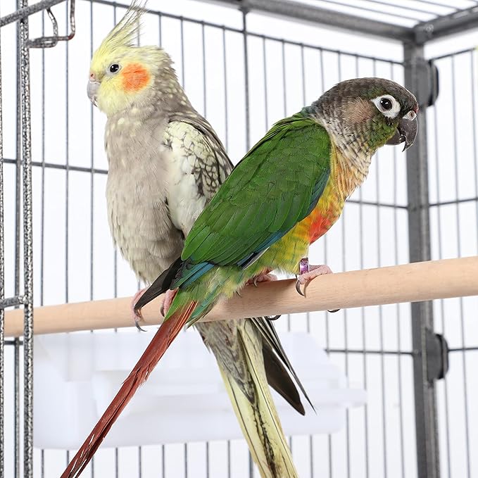 Topeakmart X-Large Parrot Cage Bird Cage with Rolling Stand for Medium Birds Cockatiels Quaker Green Cheek Sun Conure African Grey, 60.5inch