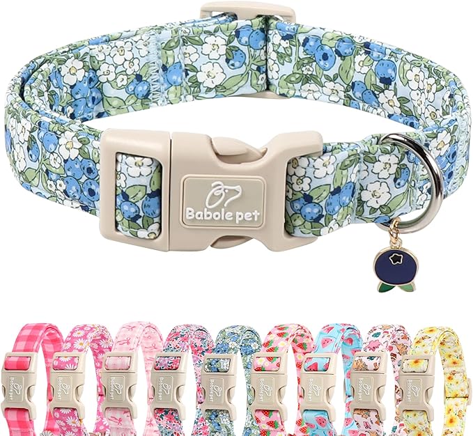 Blueberry Pattern Dog Collar, Cute Light Blue Spring Summer Puppy Collar - Soft Adjustable Designer Dog Collars for Small Medium Large Dogs S