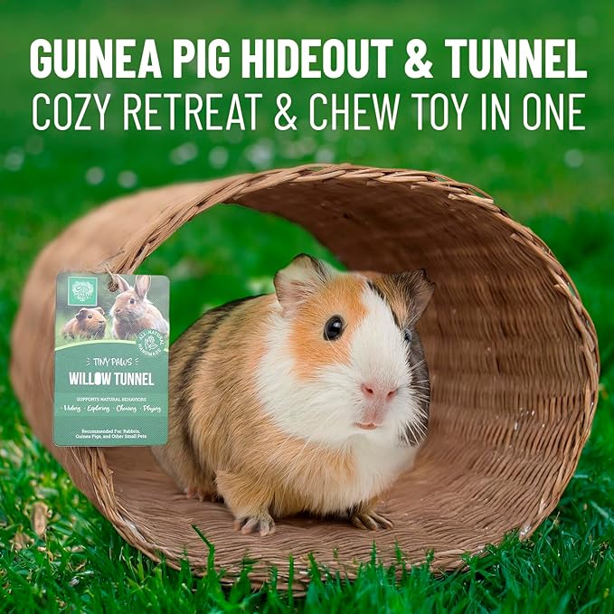 Small Pet Select - Jumbo - Tiny Paws Hand-Made Willow Tunnel for Rabbits, Guinea Pigs, Cats and Other Small Animals