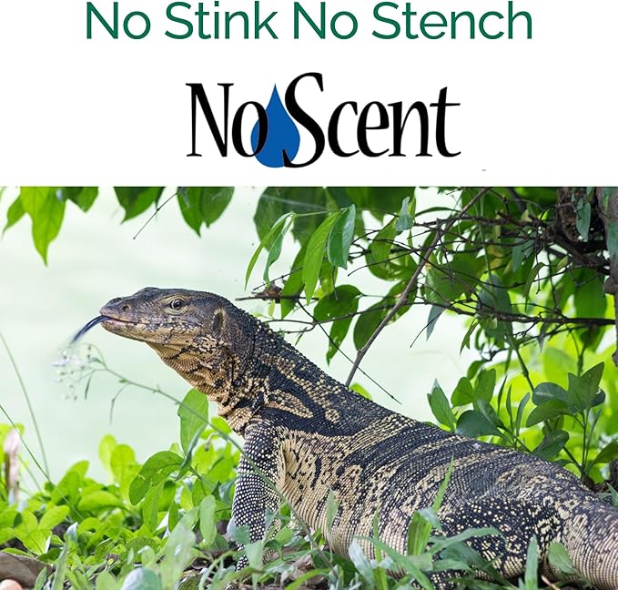 No Scent Reptile - Professional Pet Waste Odor Eliminator and Cleaner - Safe All Natural Probiotic & Enzyme Formula Smell Remover for Tanks Terrariums Enclosures and Substrates (2 oz x 2)