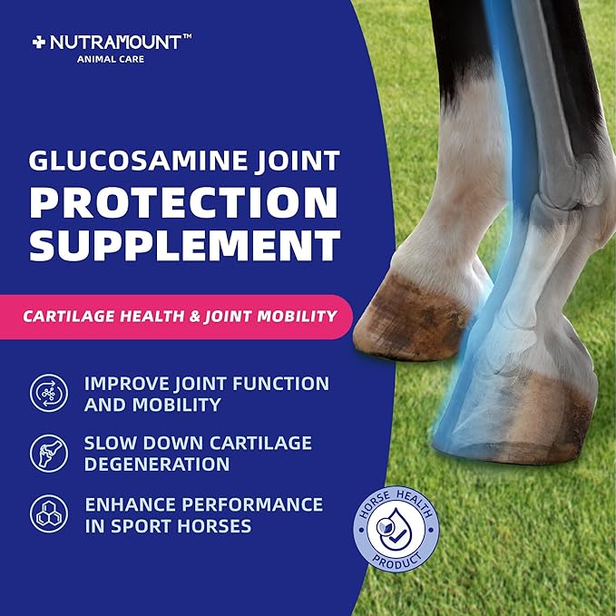 Glucosamine Joint Protection Supplement for Horses Support Cartilage Health & Joint Mobility 15-Day Supply