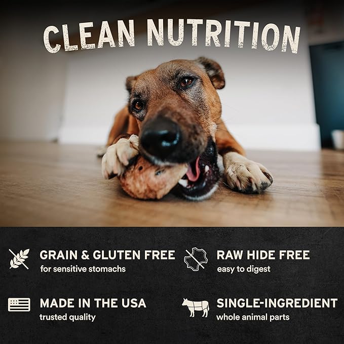 Vital Essentials Freeze-Dried Raw Pig Snout Dog Treat & Long-Lasting Natural Chew, 1-Pack | Single Ingredient Dog Treat for Aggressive Chewers | Made in USA