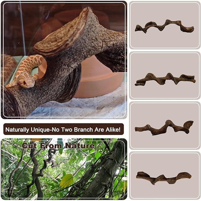 BNOSDM 3PCS Natural Reptile Climbing Branches Decor,1.2-1.8" Thick Natural Snake Climbing Forest Wood with Plant Leaf Decor,Lizard Forest Branch,Geckos Tank Tree Trunk Accessories for Bearded Dragons