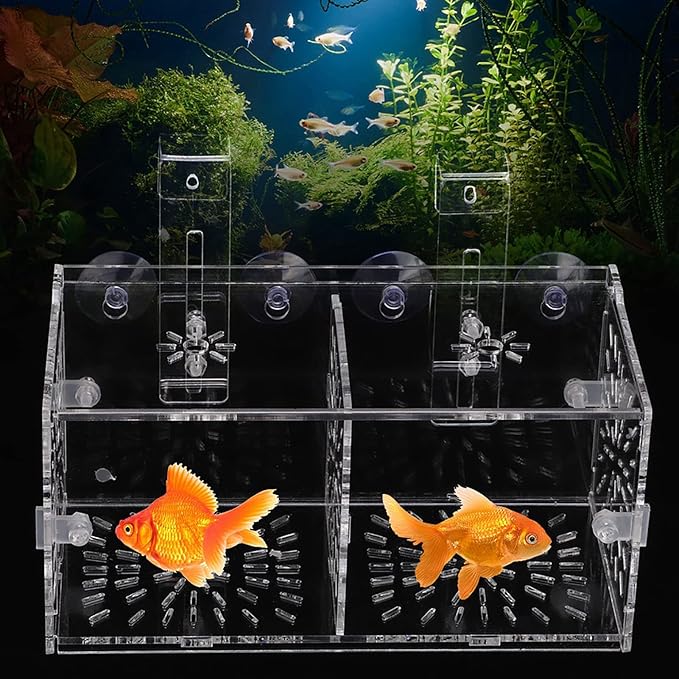 Fish Breeding Box, Acrylic Fish Isolation Box Transparent Aquarium Acclimation Hatchery Incubator with Suction Cups Aquarium Breeder Box for Newborn Fry Shrimp