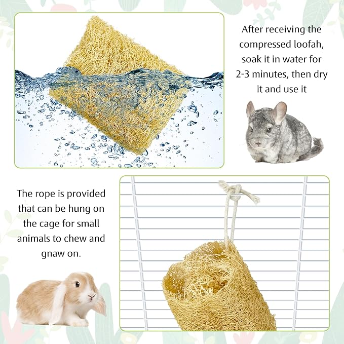 BNOSDM Bunny Chew Toys Natural Loofah 6PCS Bunny Teeth Grinding Toy Rabbit Fiber-Rich Treats Pet Entertainment Accessories for Rabbits Chinchillas Guinea Pig（XL）