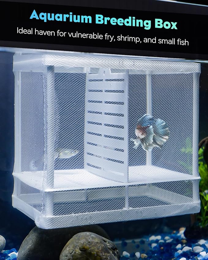 Pawfly Aquarium Breeder Net with Nylon Mesh & Suction Cups - Small Isolation Box for Baby Fish & Shrimp